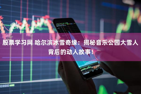 股票学习网 哈尔滨冰雪奇缘：揭秘音乐公园大雪人背后的动人故事！